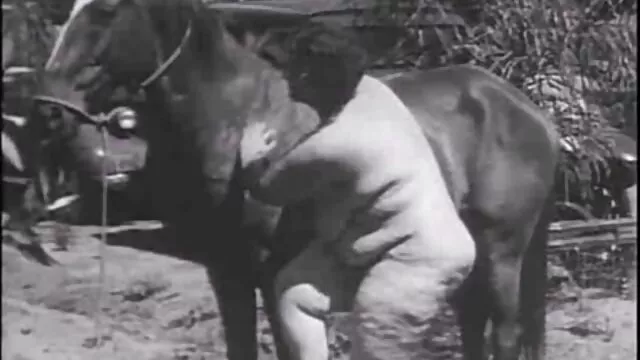 Mi hermana viejitas calientes follando traga canela por ir sin sujetador