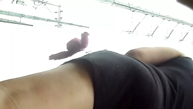 Pareja belga teniendo sexo mientras usa follando a viejitas la webcam